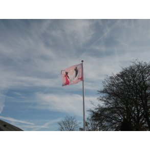 babyflag pige / pink