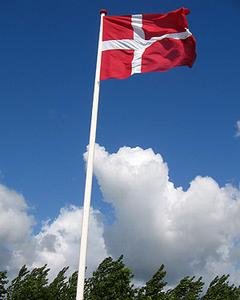 Flag og vimpler