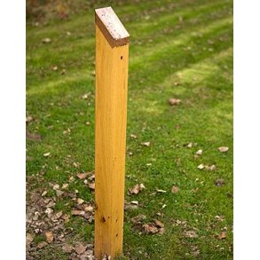 Lakeret egetr�sokkel 11,5x11,5 cm m. kobbertop (5